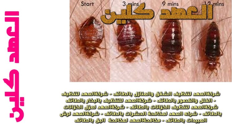 تحتوي هذه الصورة على سمة alt فارغة; اسم الملف هو 19.jpg